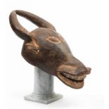 Cameroon, Bamileke, buffalo mask, with curved horns with engraved lines, small ears and broad open