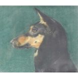 Corrie Gallas (1885-1967) Portret van een hond pastel, gesign. r.o., 30 x 35 cm. [1]