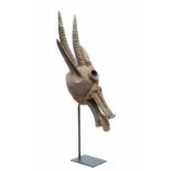 Mali, Bamana, wooden helmet mask; antelope mask, the horns with ridges, pointed ears, one locally