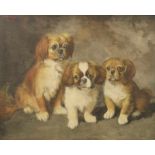 Hendrik Maarten Krabbe (1868-1931) 'Pekingeesjes' aquarel, gesign. l.b., 1930, 30 x 35 cm. [1]