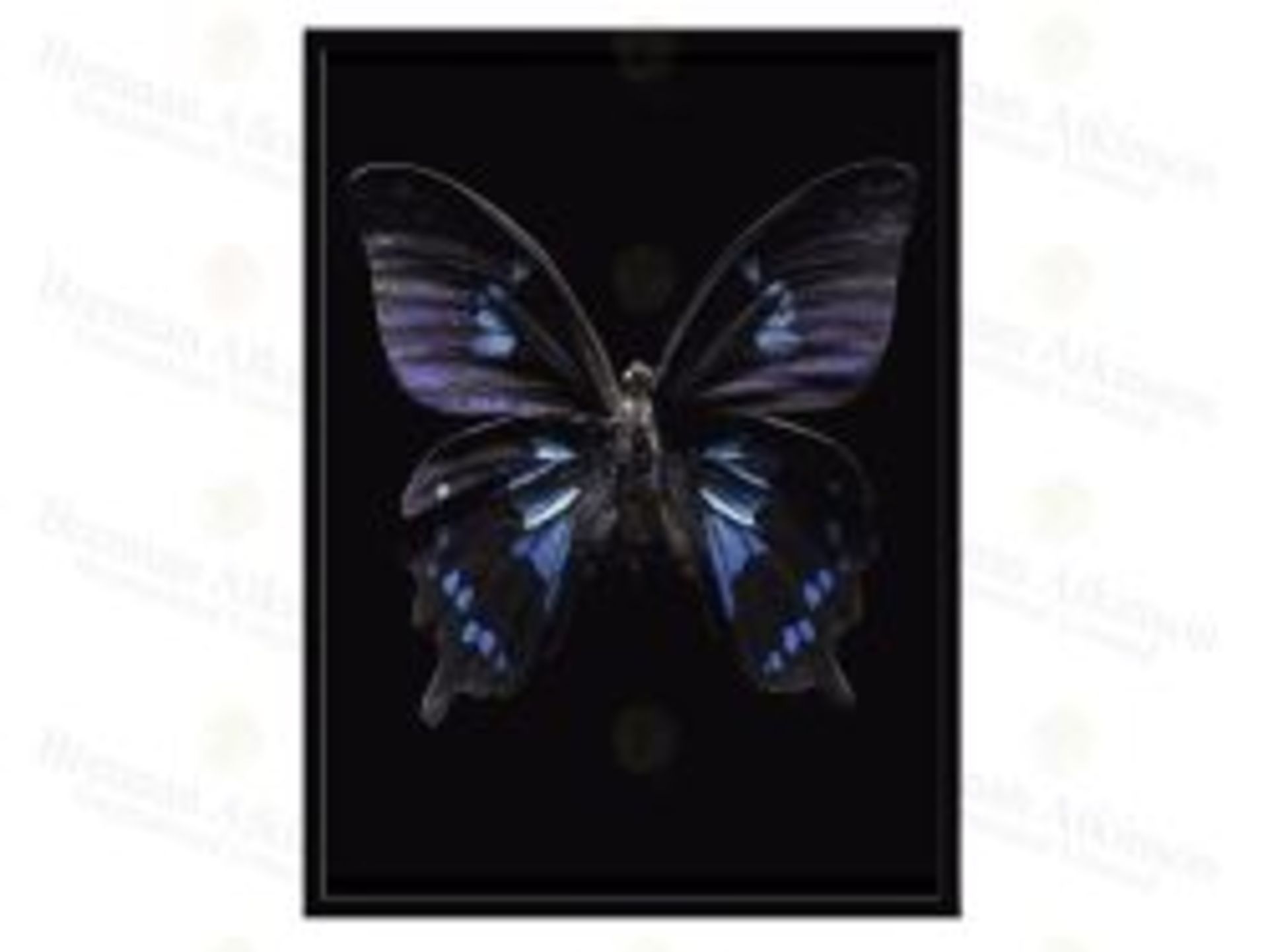 1 BRAND NEW BOXED GOTHIC BUTTERFLY FRAMED PRINT