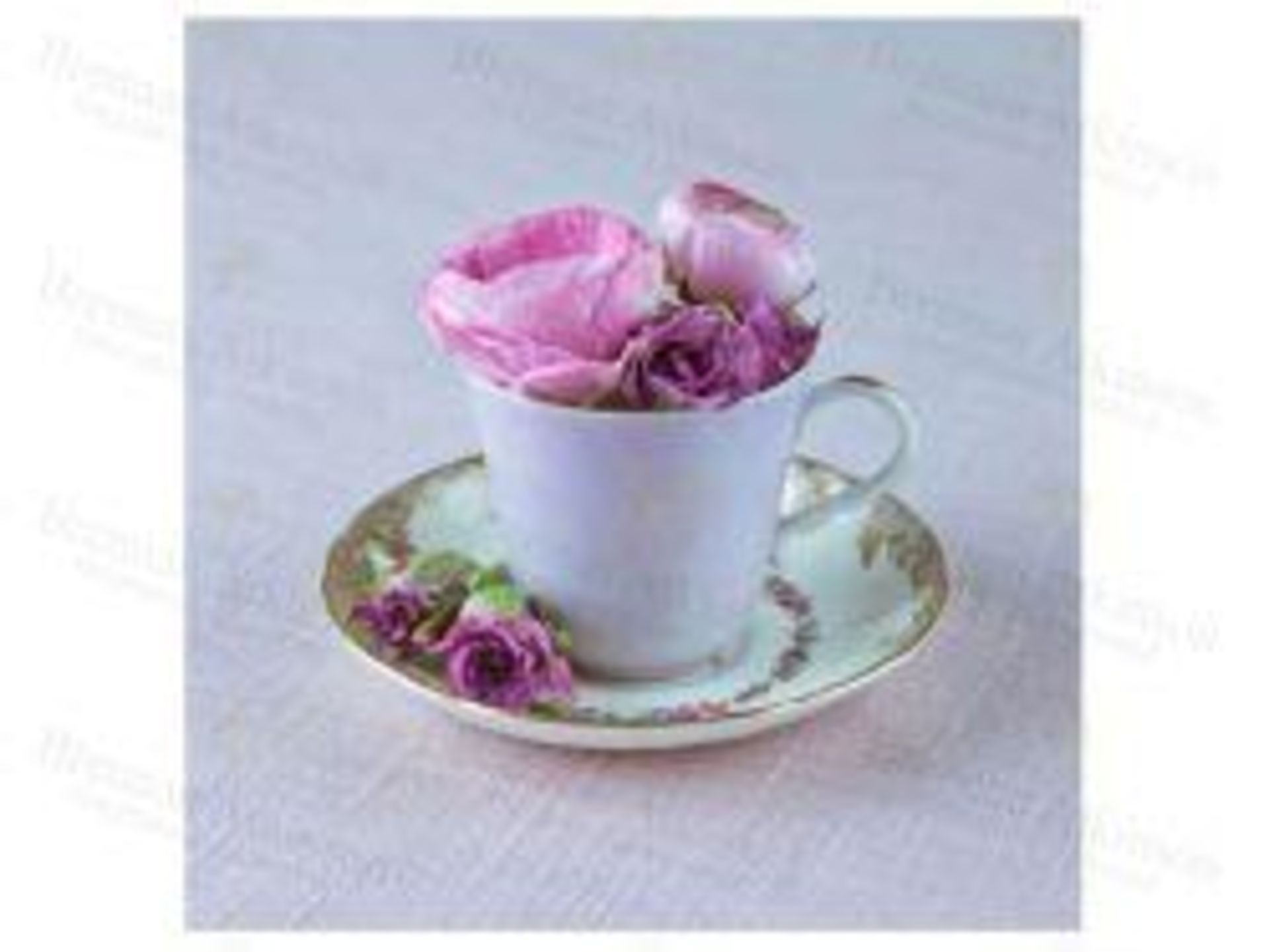 1 BRAND NEW BOXED FLORAL TEA CUP PRINTED CANVAS