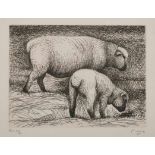 Lithographie Henry Moore 1898 Castleford - 1986 Much hadham "Shorn Sheep" u. re. sign. Moore Ex.
