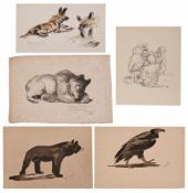 5 Zeichnungen Willi Mayer Offenbacher Tiermaler. "versch. Tierdarstellungen" je sign. W. Mayer