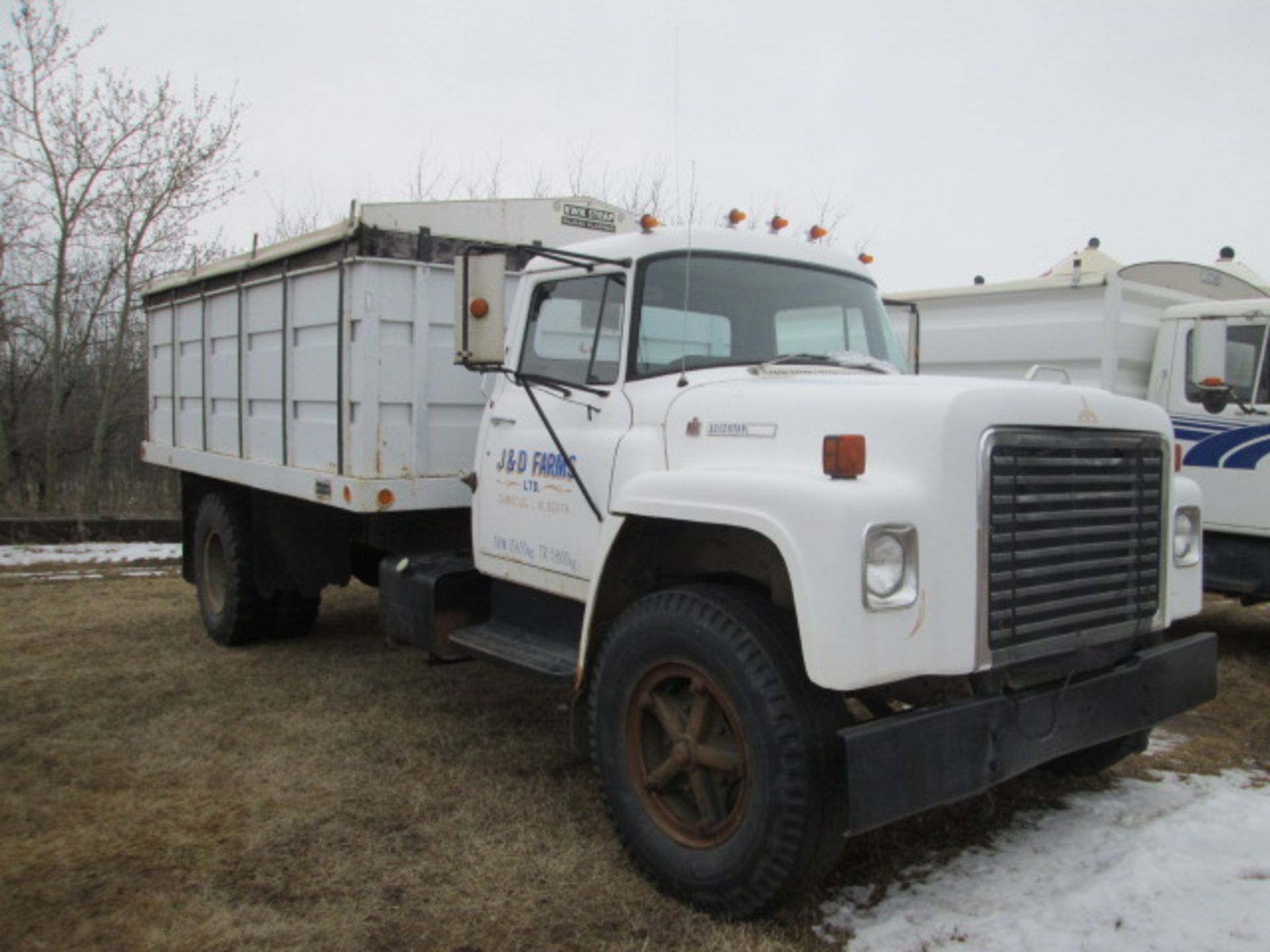 1976 IH Loadstar 1800 SA grain truck w/ 13.5' steel box & hoist, showing 120,995 mi, 8 cyl gas, 5& - Image 4 of 7