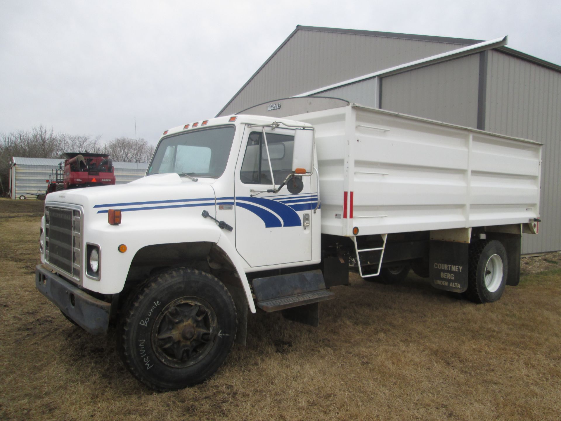 1981 IH S 1800 SA grain truck w/ 16' steel box & hoist (Courtney Berg), showing 125,553 km, 8 cyl