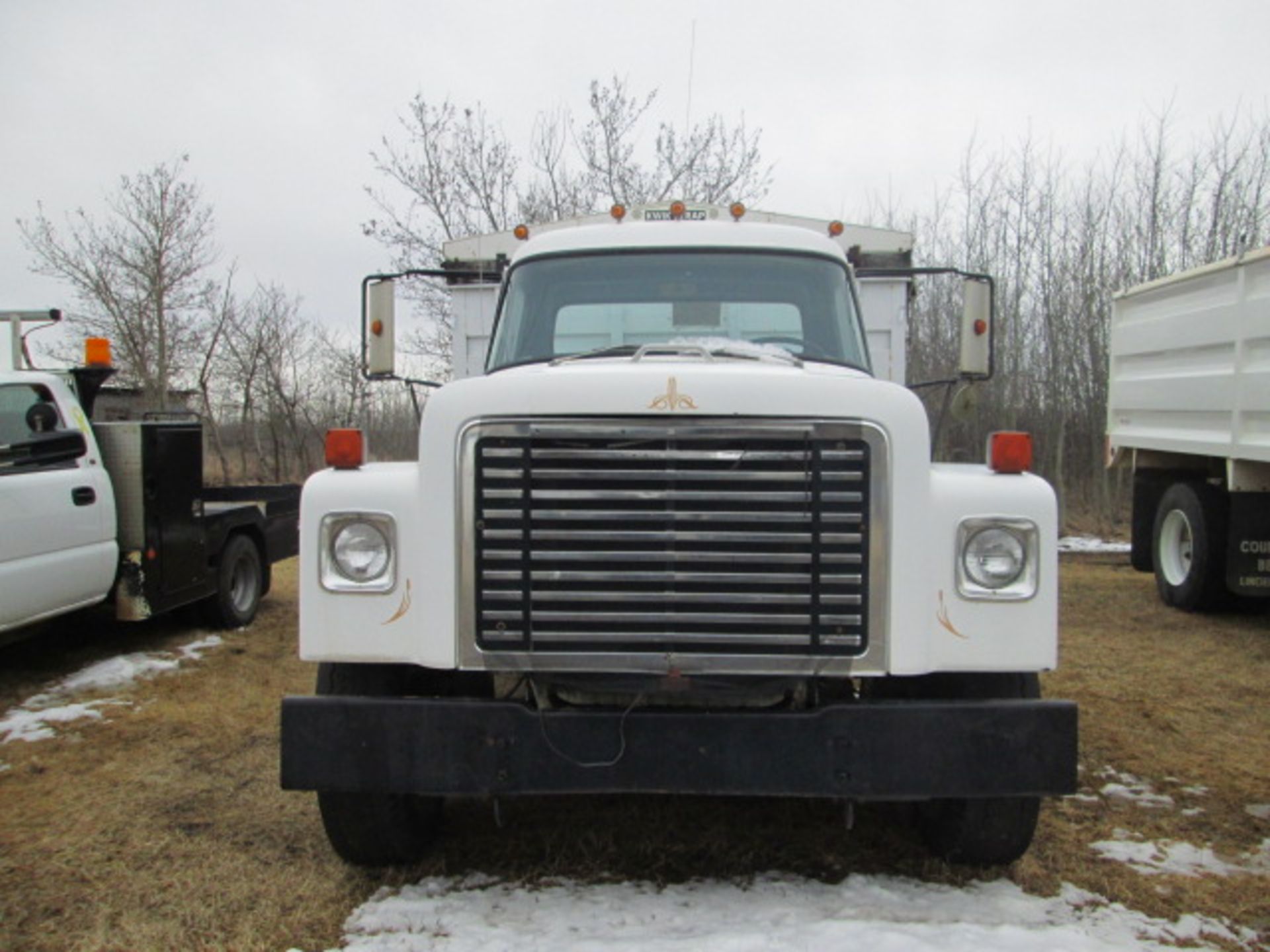 1976 IH Loadstar 1800 SA grain truck w/ 13.5' steel box & hoist, showing 120,995 mi, 8 cyl gas, 5& - Image 3 of 7