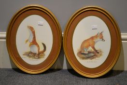 After Eric Tenney, A set of four reproduction prints, Fox and Stoat