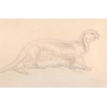 Attributed to Sir Edwin Landseer An otter Pencil 10 x 17cm Attributed to Sir Edwin Landseer