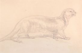 Attributed to Sir Edwin Landseer An otter Pencil 10 x 17cm Attributed to Sir Edwin Landseer