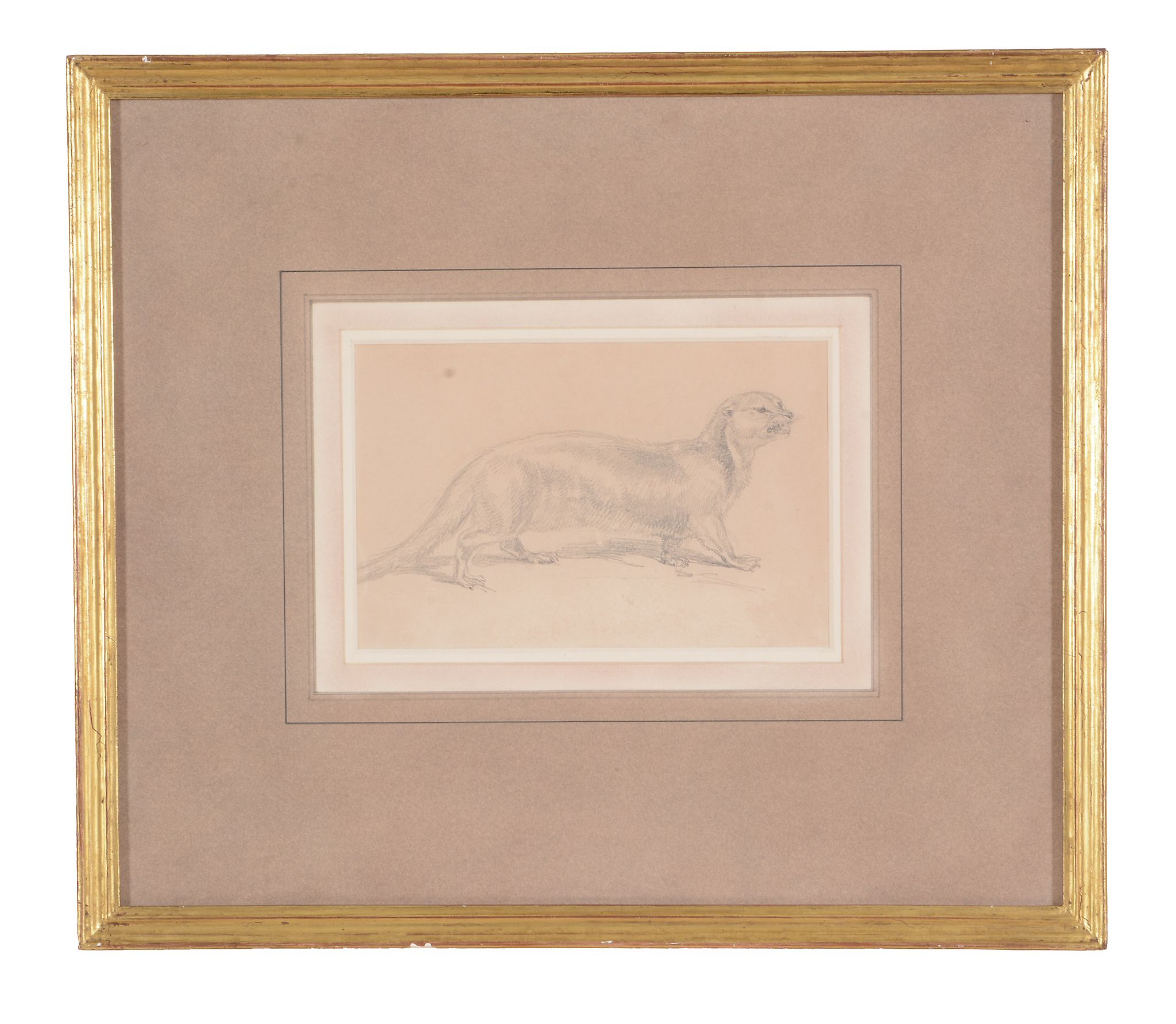 Attributed to Sir Edwin Landseer An otter Pencil 10 x 17cm Attributed to Sir Edwin Landseer - Image 2 of 3