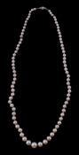 A single row cultured pearl necklace, composed of graduated cultured pearls, measuring 4mm to 8mm,