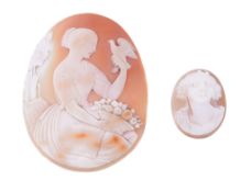 An unmounted shell cameo, the oval panel carved with a maiden holding a dove, with a basket of