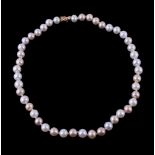A freshwater cultured pearl necklace, composed of uniform freshwater cultured pearls, to the clasp,