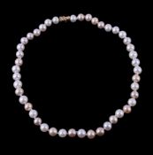 A freshwater cultured pearl necklace, composed of uniform freshwater cultured pearls, to the clasp,