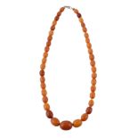 An amber bead necklace, the single strand composed of graduating 0.8cm to 1.5cm amber beads, 42.5cm