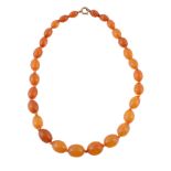 An amber bead necklace, the single strand necklace composed of graduating 1cm to 1.5cm amber beads,