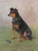 Frances C Fairman (British 1836-1923) - Seated Manchester Terrier with a toy Oil on canvas Signed