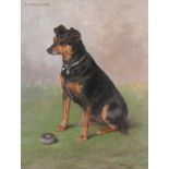 Frances C Fairman (British 1836-1923) - Seated Manchester Terrier with a toy Oil on canvas Signed