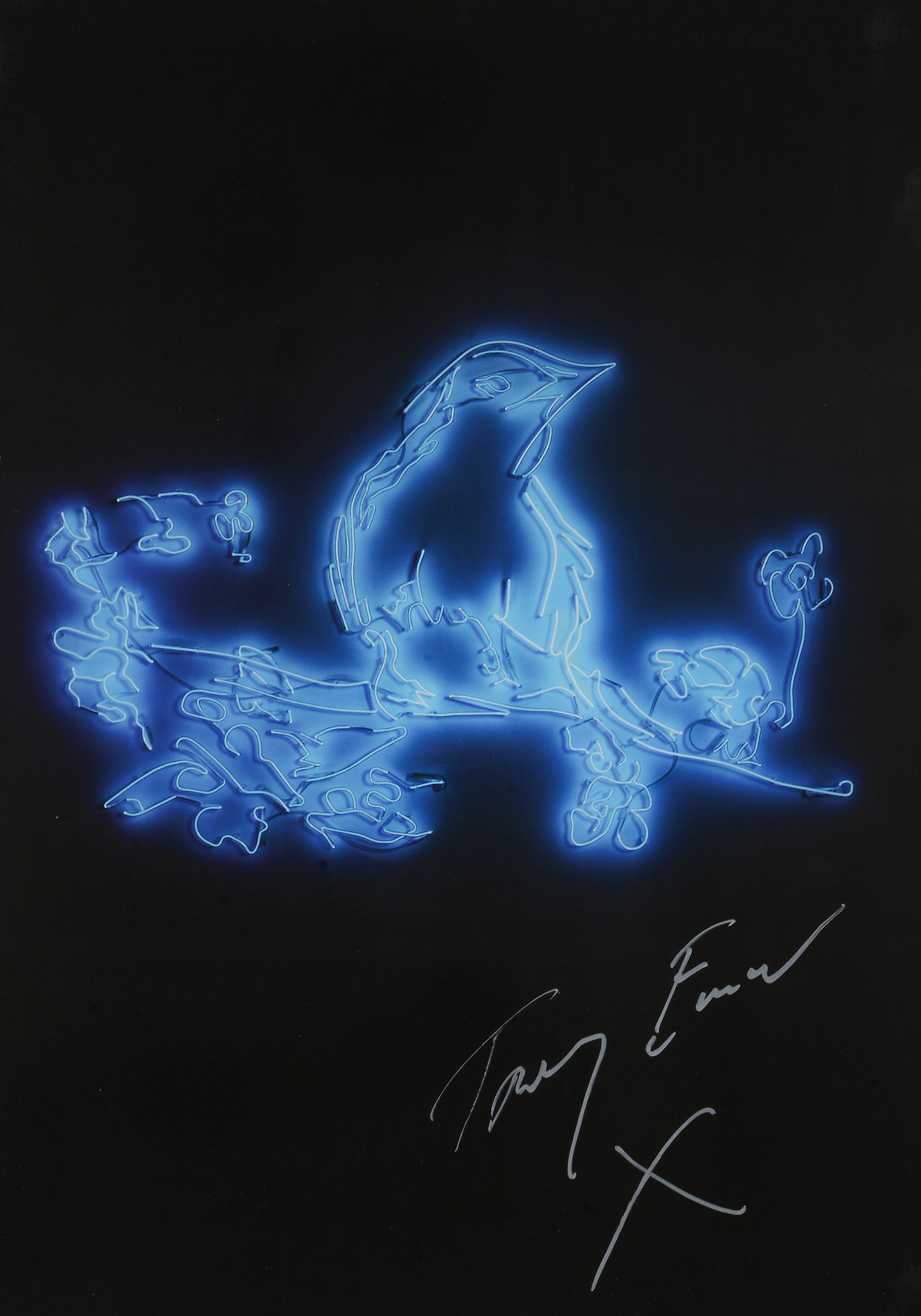 Tracey Emin (British b.1963) - My Favourite Little Bird Offset lithograph printed in colours,