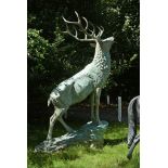 A large bronze alloy garden model of a stag, circa 2000 A large bronze alloy garden model of a stag,