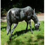 A large bronze alloy garden model of a horse, circa 2000 A large bronze alloy garden model of a