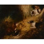 Edward Armfield (British 1817 - 1896) - The Fox's Lair Oil on canvas 43 x 54cm (16 7/8 x 21 1/4in.)