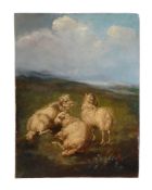 Follower of James Stark (British 1794-1859) - Study of three sheep Oil on board 25.5 x 19cm (10 x