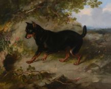 Attributed to George Earl (British 1824-1908) - Manchester Terrier Oil on canvas Dated 1854 ,