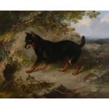 Attributed to George Earl (British 1824-1908) - Manchester Terrier Oil on canvas Dated 1854 ,