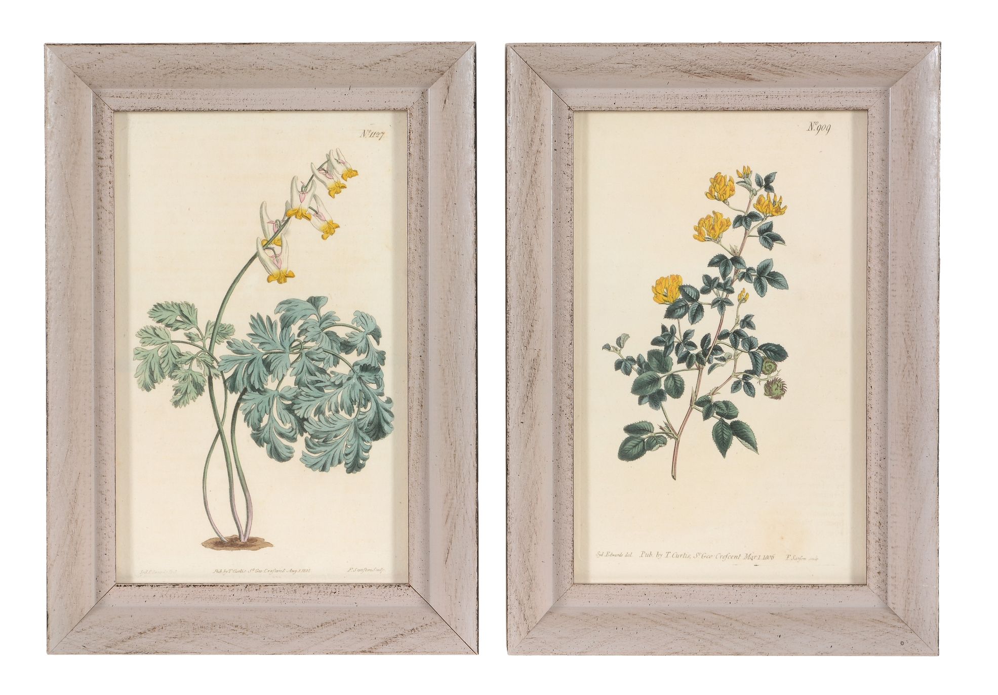 After William and Thomas Curtis, a set of twelve hand coloured botanical prints, early 19th