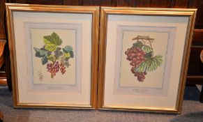 Two reproduction prints of grapes Each 40 x 31cm. (15 3/4 x 12 1/4) (2)