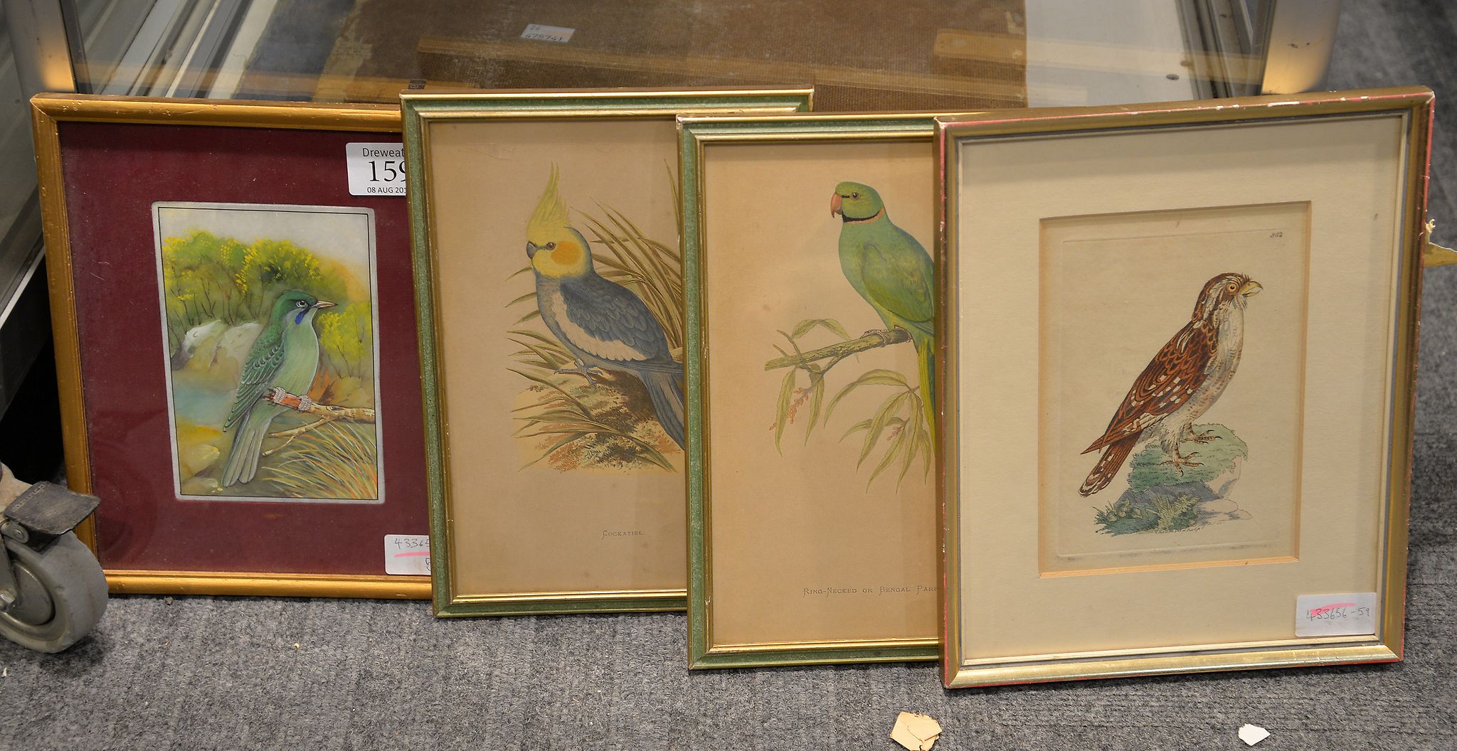 A group of four pictures of exotic birds, three prints and one painted on stone, various sizes,