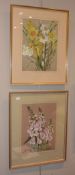 Jane Horton Studies of Narcissus, pussy willow, and Fox-gloves (digitalis) Watercolours, a pair Both