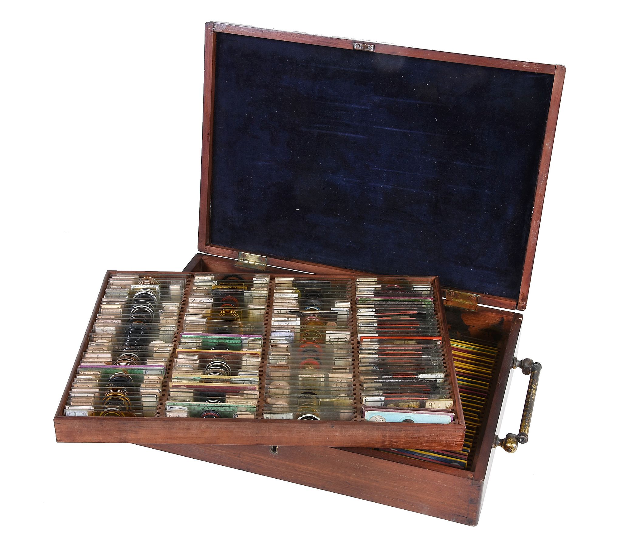 A Victorian mahogany microscope slide box containing a collection of specimens The box unsigned,
