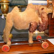 A mahogany miniature chest of four drawers, 37cm high; a child's cane seat; a 'push-along' dromedary