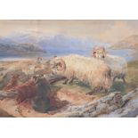 After Sir Edward Landseer (British 1802-1873) - Tethered rams Watercolour on card Bears signature,