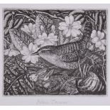 δ Robin Tanner (British 1904 - 1988) - Wren and primroses Etching Signed in pencil 9.5 x 11cm (3 3/4