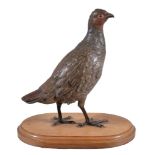 An Austrian cold painted bronze model of a game bird, circa 1900, in the manner of Franz Bergman,