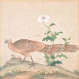 A Chinese painted wallpaper panel, 18th century, depicting a bird, in a modern gilt frame, 76 x 72.