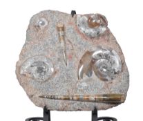 A fossil group including Ammonites , 65cm x 70cm, on a wrought iron stand 75cm high overall