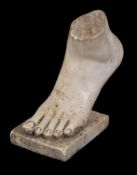A sculpted white marble model of a foot, 19th century, truncated above the ankle, on a rectangular