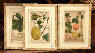 Three modern botanical prints in floral frames Each 35 x 21cm (13 3/4 x 8 1/4in.) (3)