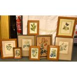 A group of botanical prints Various sizes (9)
