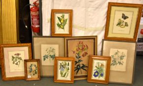 A group of botanical prints Various sizes (9)