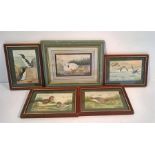 HAYWARD, P.H., Various Water Colours of Wild Fowl, All Signed