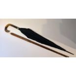Edwardian Umbrella Stick Horn Handle