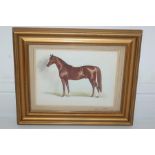 Early 20th C. 'Diamond Jubilee' Triple Crown Winner 1899/1900 Watercolour/Pencil on Paper