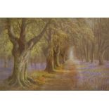 Edwardian Print of A Bluebell Wood, Signed