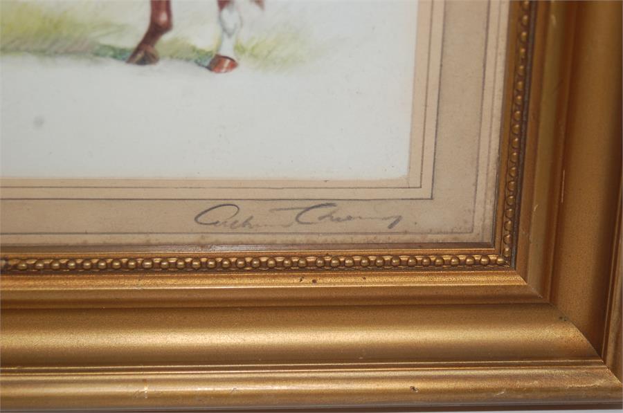 Early 20th C. 'Diamond Jubilee' Triple Crown Winner 1899/1900 Watercolour/Pencil on Paper - Image 2 of 2